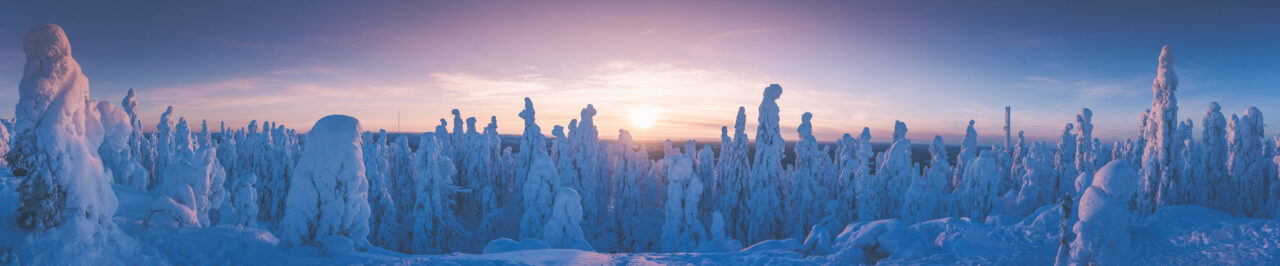 Koli, the national views of Finland